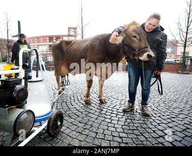 Oberhausen, Deutschland. 17 Jan, 2020. Die Milchkuh Lisa ist eine mobile Melkmaschine von jungen Landwirt Franziska während Protest des Landwirts März im Einkaufszentrum Centro gemolken. Die Bauern protestieren gegen die neue Düngemittel- und für "Faire Preise für Lebensmittel'. Foto: Roland Weihrauch/dpa/Alamy leben Nachrichten Stockfoto