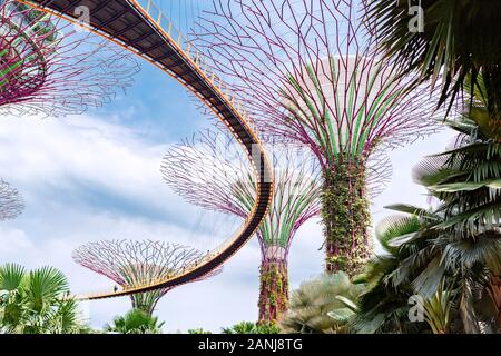 Gärten an der Bucht, Singapur Stockfoto