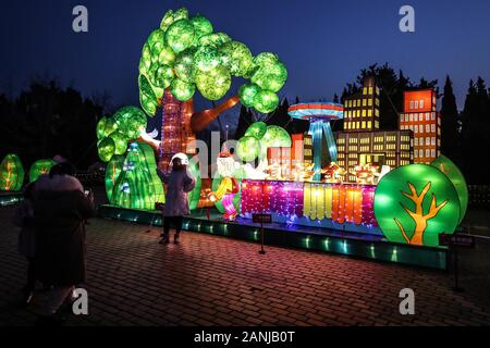 Dalian, die Laternen sind hier durch professionelle Teams aus Zigong gemacht. 23 Feb, 2020. Menschen nimmt Fotos während einer laternenfest in Dalian, Provinz Liaoning im Nordosten Chinas, Jan. 17, 2020. Die Laternen sind hier durch professionelle Teams aus Zigong, einer Stadt im Südwesten der chinesischen Provinz Sichuan, die berühmt für Laterne ist. Das Festival dauert bis Februar 23., 2020. Credit: Pan Yulong/Xinhua/Alamy leben Nachrichten Stockfoto