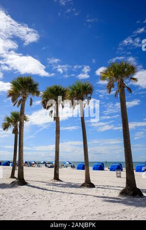Clearwater Beach - die Temperaturen stiegen in den 80er Einstellung in der Nähe der hohen Datensätze für diese Zeit des Jahres in Florida. Stockfoto