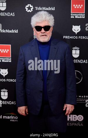 Alcobendas, Spanien. 16 Jan, 2020. Pedro Almodovar besucht die Feroz Awards 2020 am Teatro Auditorio Ciudad de Alcobendas in Alcobendas. Credit: SOPA Images Limited/Alamy leben Nachrichten Stockfoto