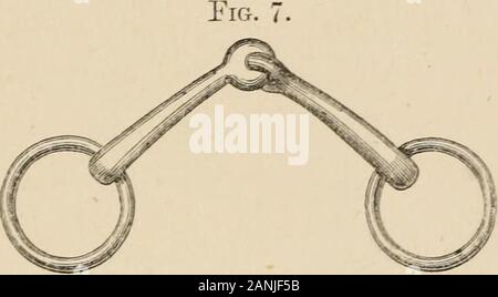 Pferde und Reiten. rb; drittens, adouble - Reined Zaum, gebildet von Trensen und curbcombined; und viertens ein Pelham, bestehend aus acurb und Trensen in einem Stück, bei dem es sich um ein Doppel-reinedbridle, mit zwei Sets von Zügel und ein Bit. Es gibt zahlreiche Möglichkeiten, und Muster, und Änderungen, die von jedem dieser Zaumzeug, aber theyall kommen unter einer der vier Überschriften ich gegeben habe. Von diesen vier der doppelten reined Zaum ist die am meisten EPJDLixa. 75 nützlich, die sicherste und die meisten allgemein verwendet; unddem Pelham ist nutzlos, von meinem Denken. Die Reined Zaumzeug besteht aus headstall, Stockfoto