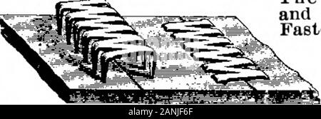 Scientific American Band 76 Nummer 13 (März 1897). Bristols Patent Stahlband Schnürung.. Die einfachste, cheapestand m Ost perfekt ft El trtife^ Befestigung für alle kindsof Belting. Samples gesendet. Sofort einsatzbereit, fertige Verbindung das Bristol Co Waterbury Anschl. PRIWTIMrG^ IMKS der Scientific American mit CHAS. ENEU JOHNSON & Co. S TINTE, Zehnten und LombardSts., Philadelphia, und 47 Rose St., Opp gedruckt wird. Duane, New York © 1897 Scientific American, INC. Stockfoto