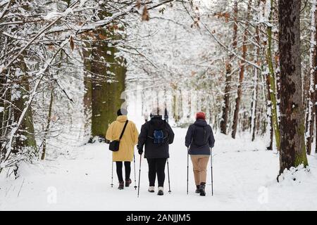 Winter Sport Nordic Walking. Gruppe der mittleren Alters oder ältere Frauen im Park Stockfoto