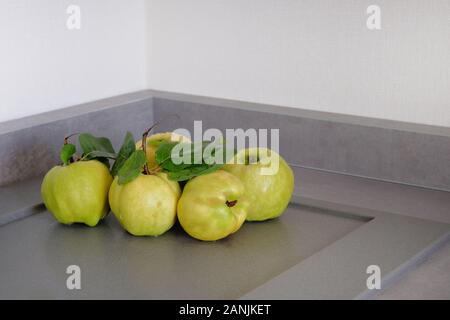 Gelben saftigen Apfel Quitte auf grau Tisch in der Küche. Gesunde vegetarische Konzept essen. Quitten hautnah. Stockfoto