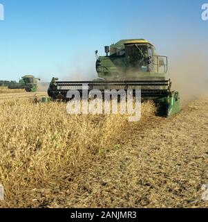 John Deere Mähdrescher, Ernte staubig, trocken Reife sojabohnenernte an einem klaren Fall Tag mit blauem Himmel, Louisiana, USA, Oktober. Stockfoto