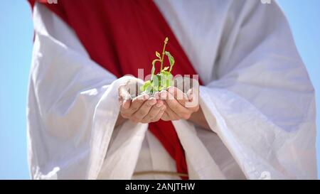 Männliche Hände in Robe holding Sprout, ökologische Probleme, planet Konzept speichern Stockfoto