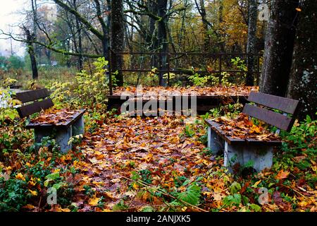 Spätherbst in einem verlassenen Park. Der Pavillon ist zerstört und die Bänke sind mit gelben nassen Laub abgedeckt Stockfoto