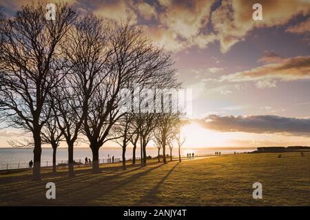 Mit Bäumen gesäumten Promenade in der Nähe des Sunset als Menschen entlang der Küste durch die niedrige Sonne silhouetted gehen und die Bäume sind Casting Shadows. Stockfoto