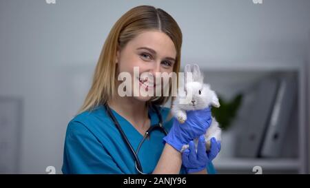 Freundliche Hündin pet Arzt holding Bunny, Werbung der tierärztlichen Klinik Stockfoto