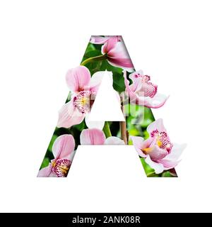 Blume Font. Buchstabe A von natürlichen Blumen gemacht. Zusammensetzung der wunderschöne Orchideen. Text in Form von tropischen Pflanzen Stockfoto