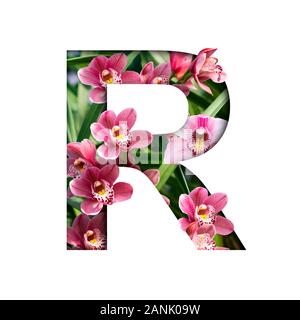 Blume Font. Buchstabe R aus natürlichen Blumen. Zusammensetzung der wunderschöne Orchideen. Text in Form von tropischen Pflanzen Stockfoto