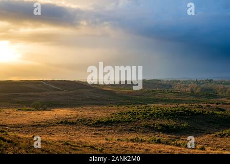 Godshill, New Forest, Hampshire, UK, 17. Januar 2020, Wetter. Duschen am Nachmittag schließlich den Weg für die kühleren Mehr nieder Wetter am Ende eines sehr nasse Woche. Eine antizyklonale Wetter Muster wird erwartet, Sonnenschein und über Nacht Frost über das Wochenende zu bringen. Credit: Paul Biggins/Alamy leben Nachrichten Stockfoto