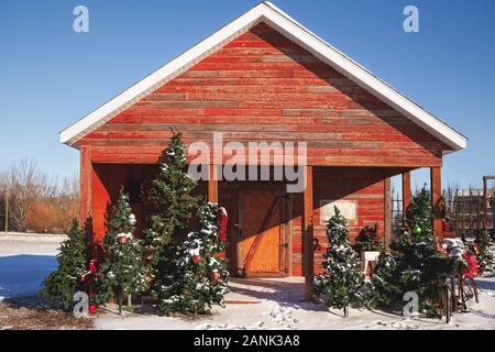 Verschiedene Größen von geschmückten Weihnachtsbaum vor einem hohen verblassten roten Gebäude mit einer überhängenden Dach in einer Winterlandschaft Stockfoto