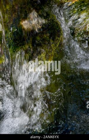 Wasser wirbelt über Grünmoos in einem österreichischen Bergbach, Österreich, der Styria Stockfoto