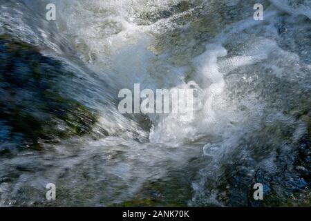 Wasser wirbelt über Grünmoos in einem österreichischen Bergbach, Österreich, der Styria Stockfoto