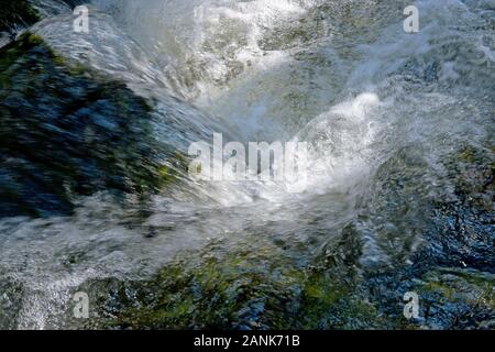 Wasser wirbelt über Grünmoos in einem österreichischen Bergbach, Österreich, der Styria Stockfoto
