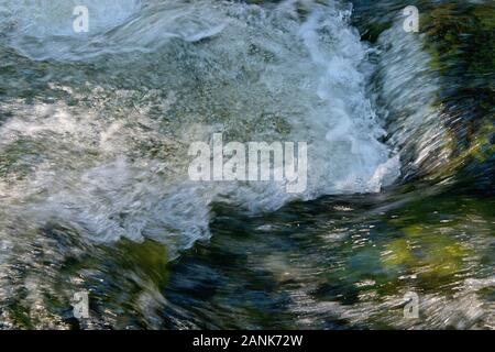Wasser wirbelt über Grünmoos in einem österreichischen Bergbach, Österreich, der Styria Stockfoto