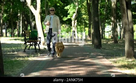 Blinden älteren Mann mit Hund im Park, gut ausgebildete Golden Retriever Stockfoto