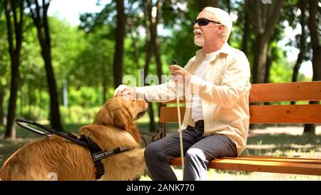 Visuell ältere Mann sitzt auf der Bank beeinträchtigt, Streicheln geliebten Hund Stockfoto