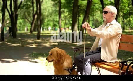 Blinde Rentnerin mit Hilfe reinrassigen Hund sitzt einsam in Park, Depression Stockfoto