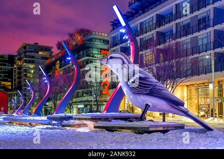 Sparrow Skulptur, "Die Vögel" von myfanwy MacLeod, Olympische Dorf Plaza, False Creek, Vancouver, British Columbia, Stockfoto