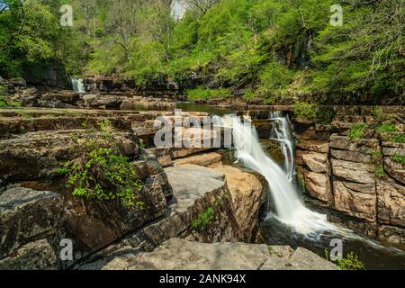 Die Kisdon Kraft in der Nähe von Keld, North Yorkshire, England, Großbritannien Stockfoto