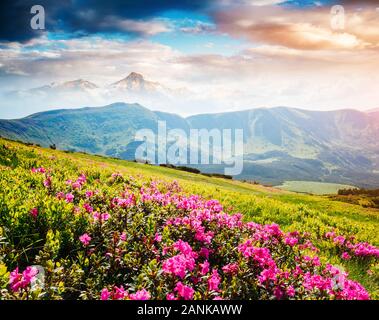 Fesselnde Szene des Alpine Valley im Sonnenlicht. Schönen Tag. Ort Karpaten Ukraine, Europa. Wunderbares Bild von Tapeten. Excellen Stockfoto