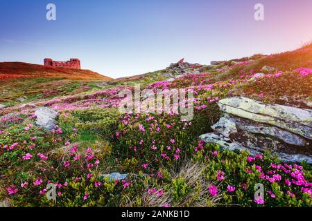 Fesselnde Szene des Alpine Valley im Sonnenlicht. Schönen Tag. Ort Karpaten Ukraine, Europa. Wunderbares Bild von Tapeten. Excellen Stockfoto