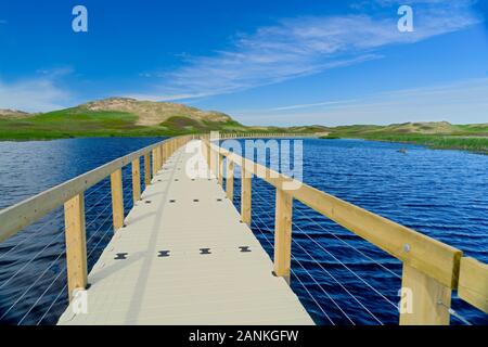 Boardwalk durch den PEI National Park, Greenwich, Prince Edward Island, Kanada. Stockfoto