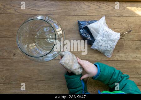 Erstellen eines Mini Garten in einem Glas, topview. Stockfoto