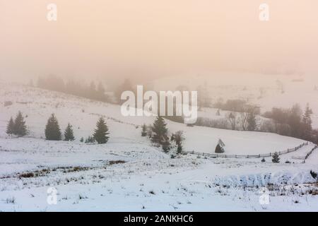 Bergige Landschaft im Nebel. glühende Winter Nebel bei Sonnenaufgang. Fichten auf dem Schnee Wiese bedeckt. geheimnisvolle Landschaft. schlechtes Wetter Konzept Stockfoto