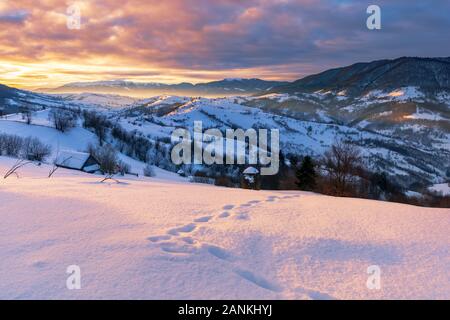 Bergige Landschaft im Winter bei Sonnenaufgang. Schnee bedeckte Hügel und Felder der Karpaten ländlichen Gegend rollt in den Fernen krasna Ridge. glowi Stockfoto