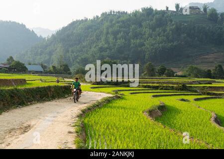 Ta Van, Vietnam - Mai 2019: Mann reiten Motorrad durch Reisterrassen von Sapa in Lao Cai Region. Stockfoto