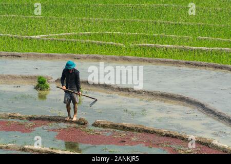 Sapa, Vietnam - Mai 2019: Hmong Mann bei der Arbeit mit der Hacke auf Reisterrassen in Lao Cai Provinz. Stockfoto