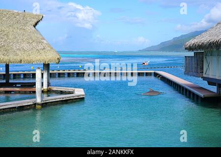 MOOREA, FRANZÖSISCH POLYNESIEN-30 Nov 2018 - Ansicht des Moorea Dolphin Center im Intercontinental Moorea Lagoon Resort & Spa Moorea an der Lagune in Stockfoto