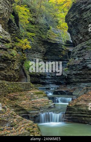 Glen Creek schnitzt seinen Weg langsam durch Schichten von Schiefer in Watkins Glen State Park, New Y0Rk Stockfoto