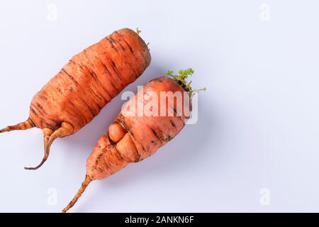 Hässliche bio Karotte auf weißem Hintergrund. Konzept Umwelt shopping, Kopie Raum Stockfoto