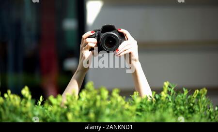 Frau Hände halten Foto Kamera hinter Bush, Privatdetektiv, Spionage Stockfoto