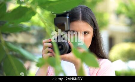 Verdächtige Frau mit Kamera versteckt hinter Bäumen im Park, Spionage Mann Stockfoto