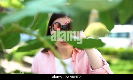 Die Frau mit dem Fernglas versteckt hinter Bäumen, Journalist auf der Suche nach Sensation Stockfoto