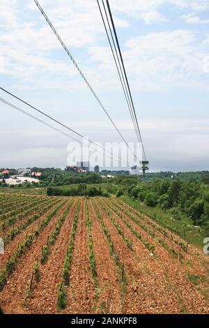 Luftseilbahn über grüne Gärten. Seilbahnkabine über dem Feld. Stockfoto