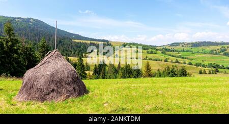 Heuhaufen auf der Wiese im Sommer. Traditionelle karpatische ländliche Landschaft in den Bergen. sonniges Wetter mit Fluffy Clouds Stockfoto