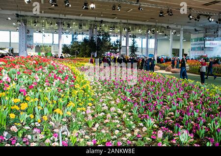 Berlin, Deutschland. 17 Jan, 2020. Menschen besuchen die Internationale Grüne Woche (IGW) Berlin in Berlin, Hauptstadt der Bundesrepublik Deutschland, Jan. 17, 2020. IGW Berlin, eine internationale Ausstellung für die Ernährung, Landwirtschaft und Gartenbau Industries, am Freitag eröffnet und dauert bis zum 14.01.26, Gewinnung von mehr als 1.800 Aussteller aus der ganzen Welt. Credit: Binh Truong/Xinhua/Alamy leben Nachrichten Stockfoto