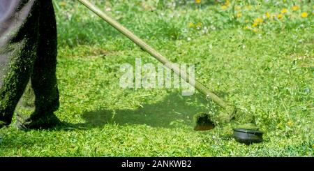 Gras Pflege mit Freischneider. Arbeiten mit professionellen Garten Werkzeug im Park. mit Trimmer line Gras an einem sonnigen Tag im Frühjahr zu mähen. Stück Stockfoto