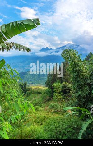 Wunderschöne Aussicht auf terrassierten Reisfeldern und der Berg in den Wolken. Im Vordergrund sind große Banane und bambusblätter. Stockfoto