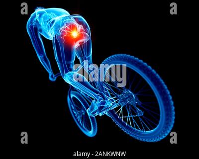 Cyclist's Skelett, Abbildung Stockfoto