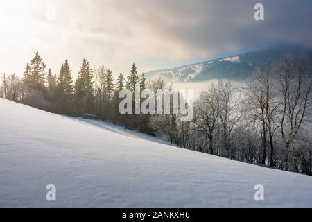 Dramatische winter Sonnenaufgang. Bäume im Raureif auf einem schneebedeckten Hang. Wolken und Nebel im Tal. borschawa Bergkette in der Ferne. Stockfoto