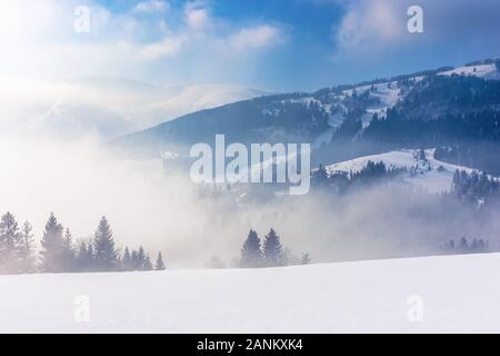 Blizzard in den Bergen. magische Landschaft mit Wolken und Nebel auf einem sonnigen Morgen. Bäume im Nebel auf eine schneebedeckte Wiese. borschawa Ridge in der Dist Stockfoto