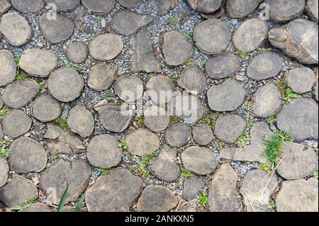 Park Gehweg aus natürlichen runden Holz- Protokolle. Holz ebnet. Stockfoto